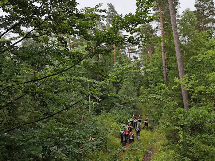 Waldanteil in Thüringen im EU-Vergleich nicht hoch. (Illustration) / Foto: Martin Schutt/dpa