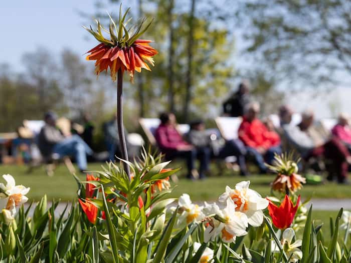 Feiertag in Thüringen: Hofwiesenparkfest, Gothardusfest und Freibadstart