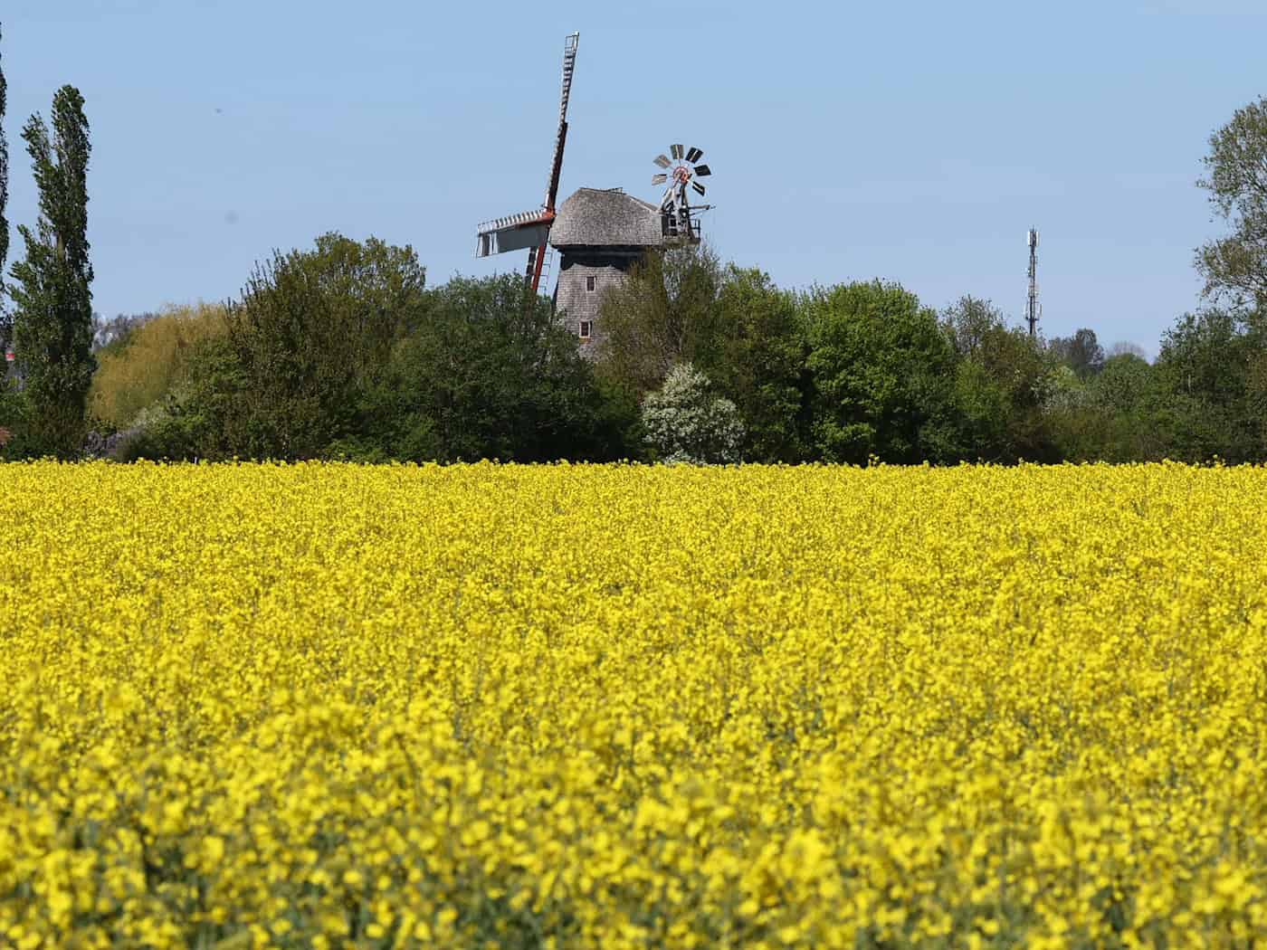 Am Sonntag ist auch mit Sonne zu rechnen. (Symbolbild) / Foto: Bernd Wüstneck/dpa