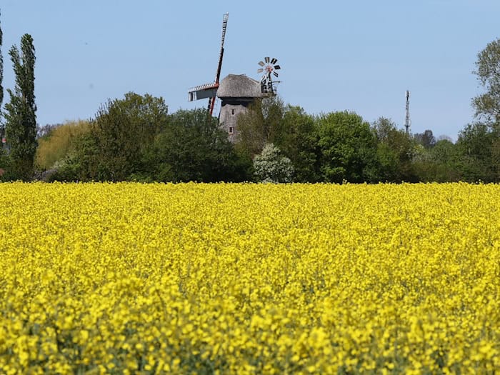 Warmes Wetter am Wochenende