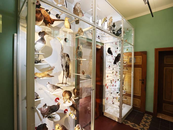 Brehm-Museum in Renthendorf mit gläsernem Anbau eröffnet