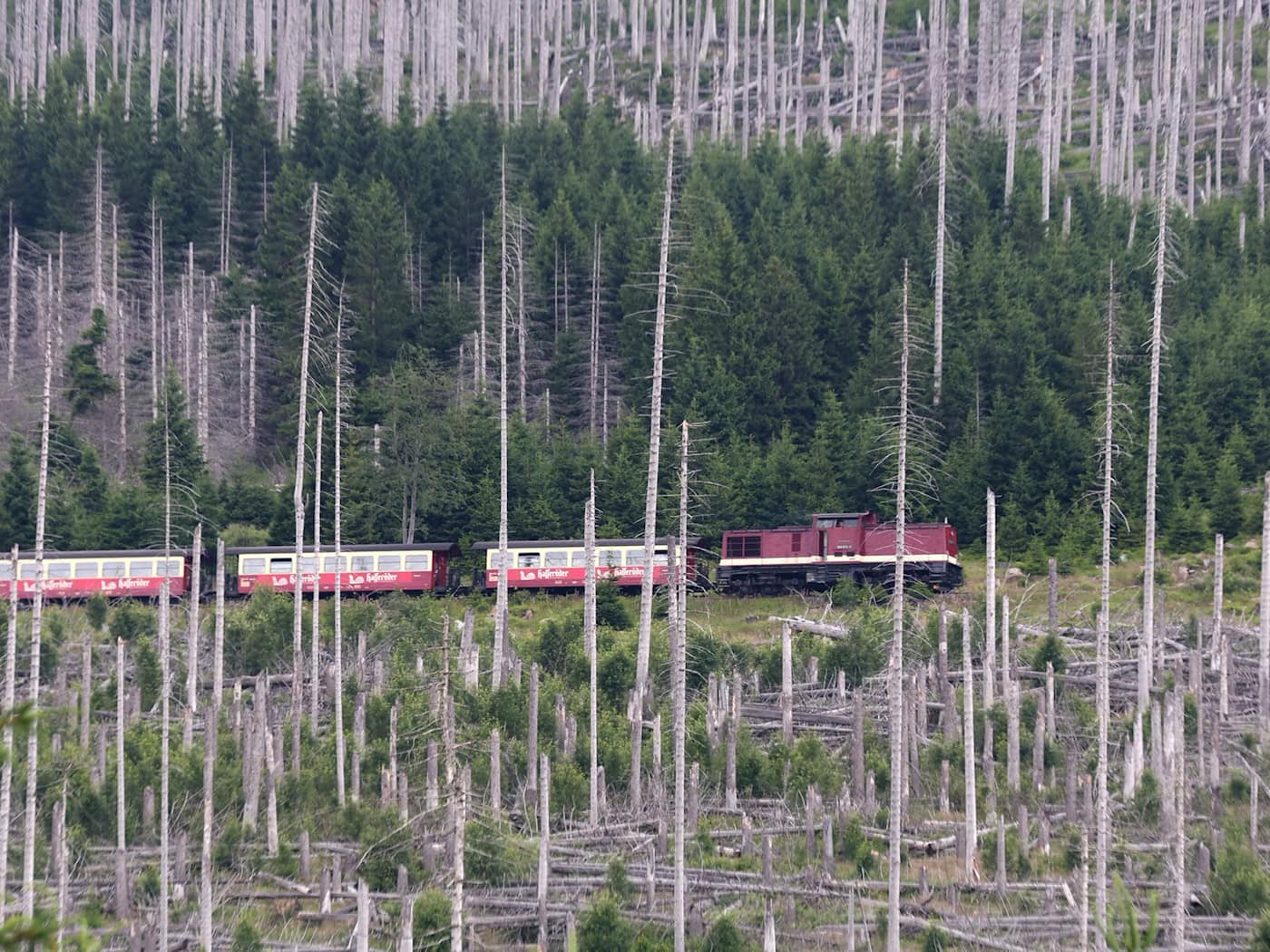 Wegen der Waldbrandgefahr sind jetzt Dieselloks zum Brocken unterwegs.  / Foto: Matthias Bein/dpa