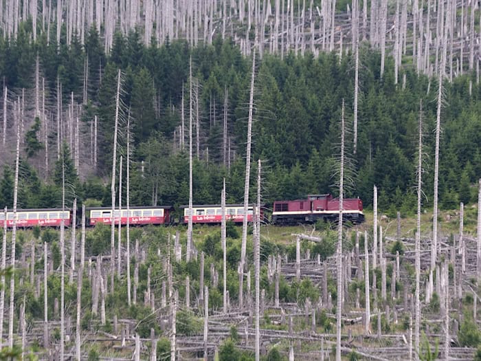 Wegen der Waldbrandgefahr sind jetzt Dieselloks zum Brocken unterwegs.  / Foto: Matthias Bein/dpa