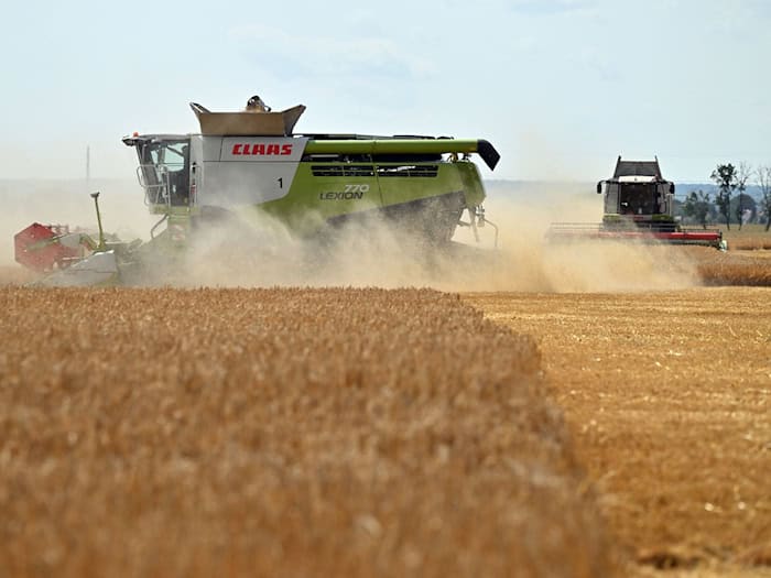 Der Bauernverband ruft zu Beginn der Getreideernte zu Vorsicht und Rücksichtnahme auf. (Symbolbild)  / Foto: Martin Schutt/dpa