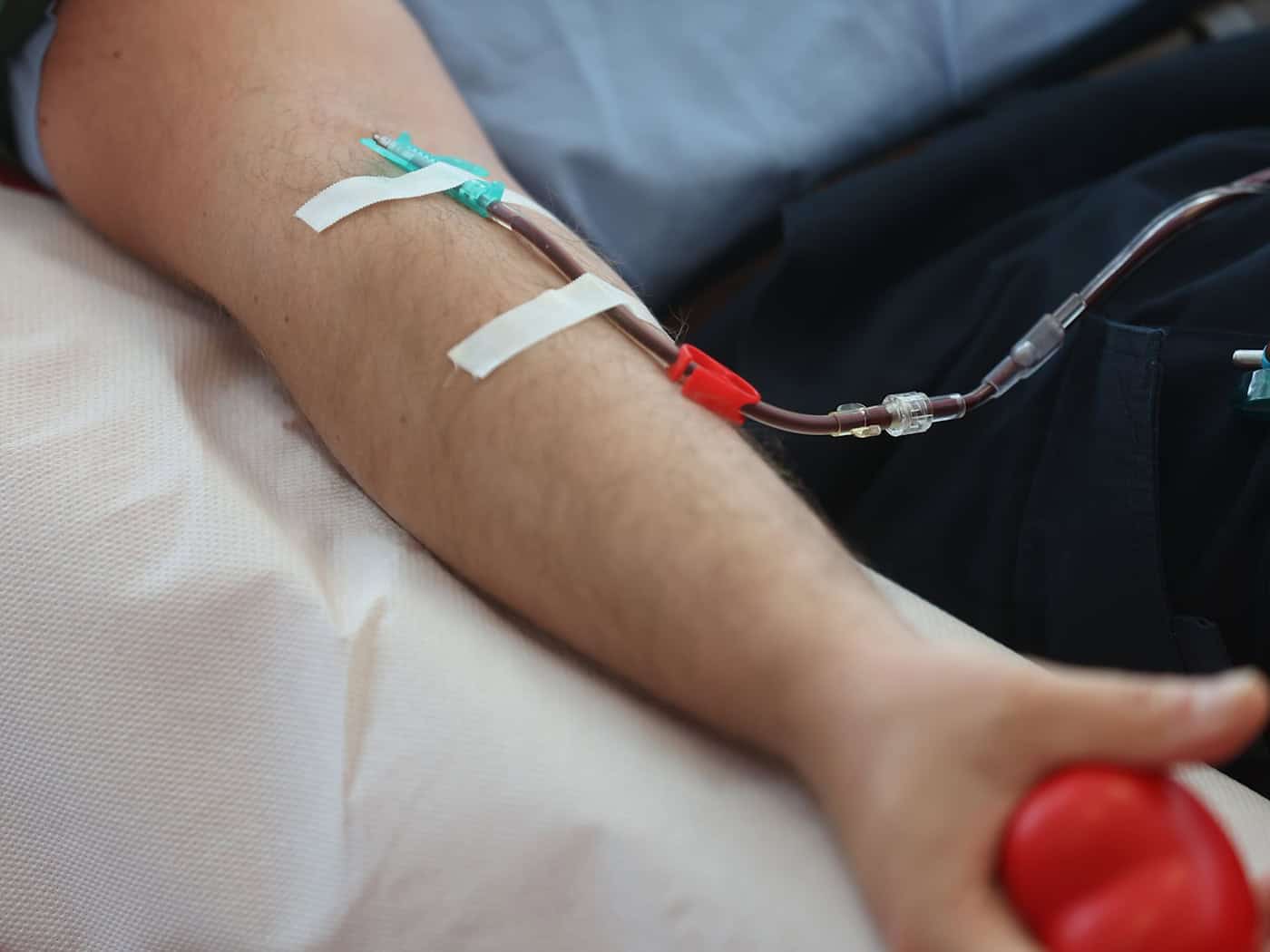 Gesunde Menschen ab 18 Jahren können Blut spenden. (Symbolbild) / Foto: Bodo Schackow/dpa
