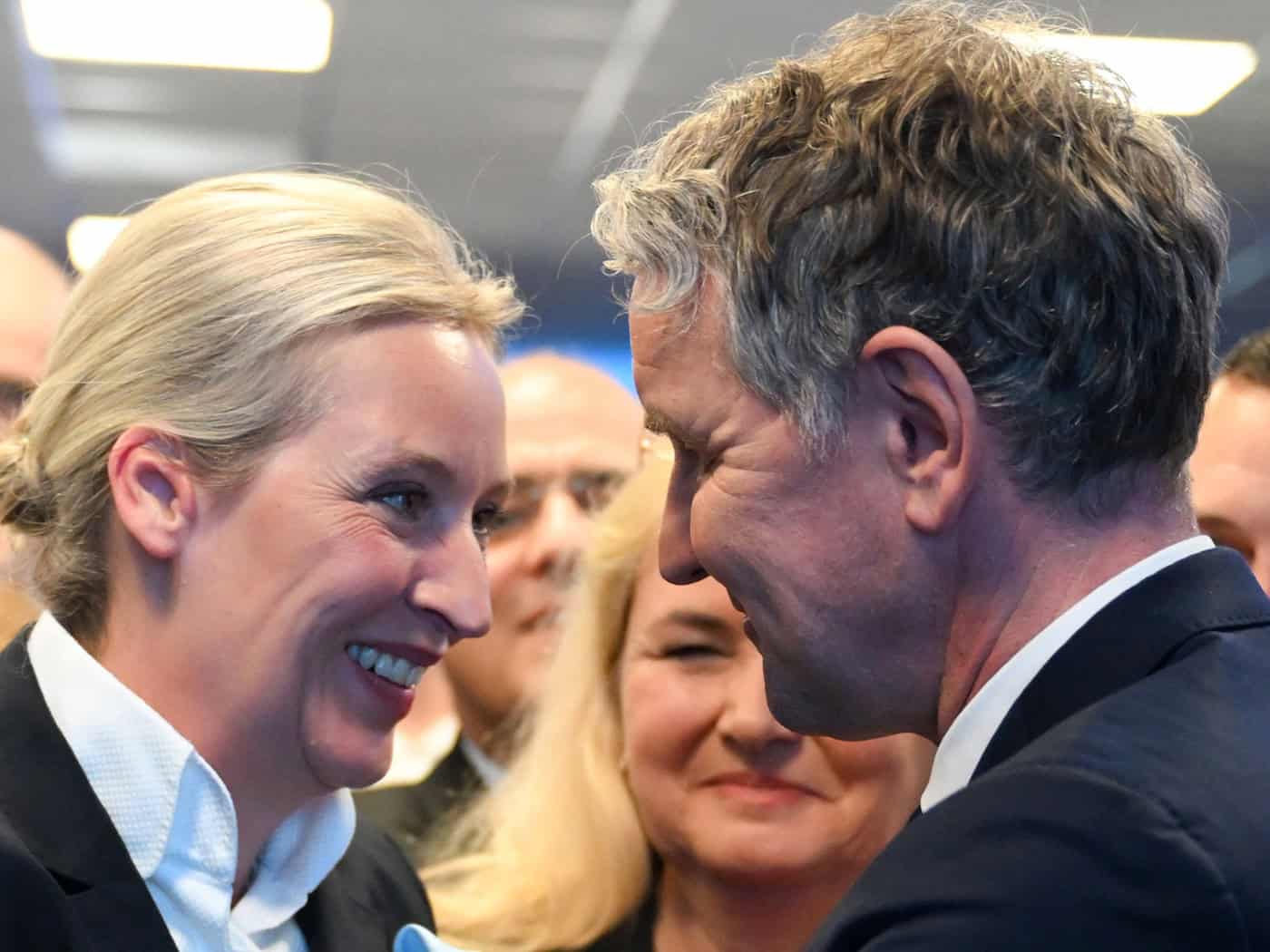 Wie groß ist der Einfluss des Thüringer AfD-Chefs Björn Höcke in die Bundespartei mit Alice Weidel und Tino Chrupalla an der Spitze? (Archivbild) / Foto: Sören Stache/dpa-Pool/dpa