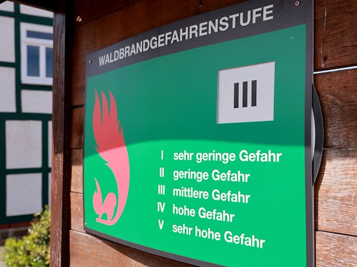 In fast der Hälfte der Thüringer Wälder gilt am Wochenende die zweithöchste Waldbrandgefahrenstufe. (Symbolbild) / Foto: Peter Gercke/dpa-Zentralbild/dpa