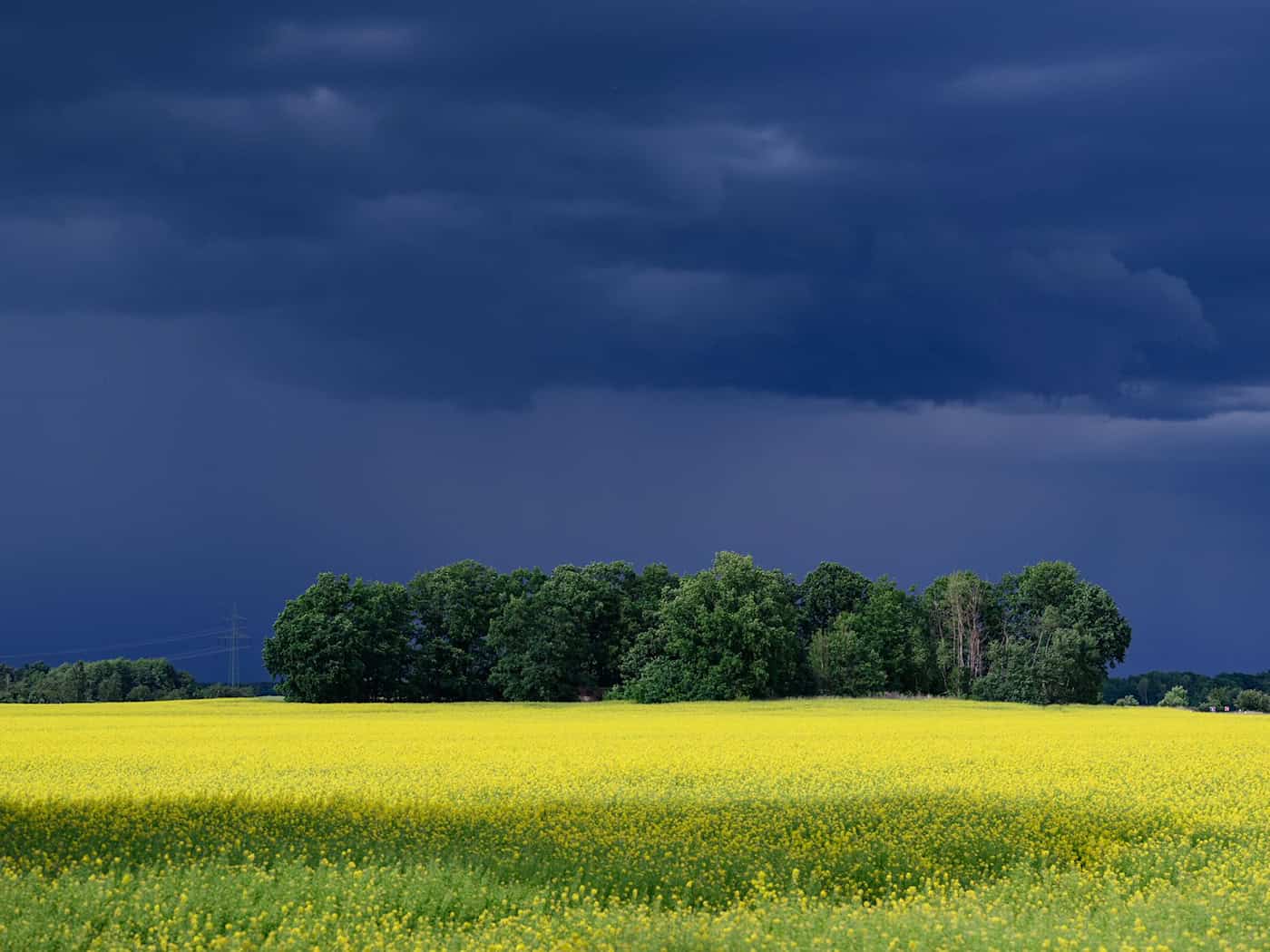 Erst am Freitag sind keine Gewitter mehr angesagt. (Symbolbild) / Foto: Robert Michael/dpa