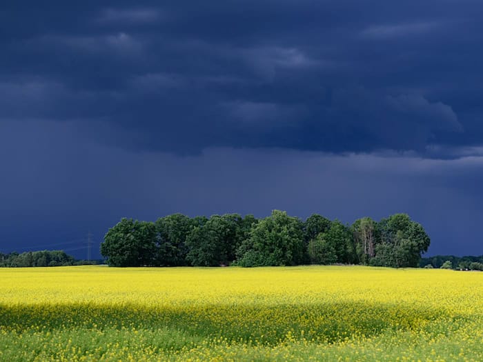 Erst am Freitag sind keine Gewitter mehr angesagt. (Symbolbild) / Foto: Robert Michael/dpa