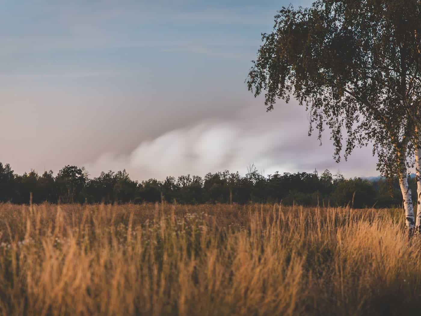 Seit Samstag beschäftigt der Brand die Feuerwehr.  / Foto: Kevin Fischer-Golde/bw-pictures/dpa