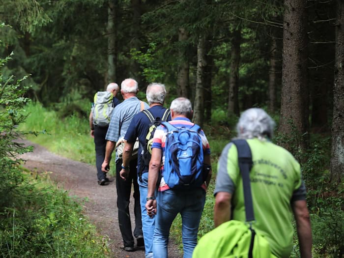 Zum 34. Thüringer Wandertag in Bad Tabarz waren auch viele Senioren unterwegs. (Symbolbild) / Foto: Bodo Schackow/dpa-Zentralbild/dpa