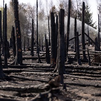 Die Waldbrandsaison läuft von März bis Oktober. In der Zeit wird auch immer eine Waldbrandgefahrenprognose erstellt, um besonders gefährdete Regionen zu erkennen. (Symbolbild)  / Foto: Michael Reichel/dpa