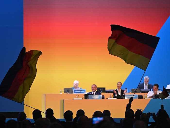 Parteichefin Weidel rief ihre Partei unter großem Jubel dazu auf, «das gesamte Land» in Schwarz-Rot-Gold zu tauchen. / Foto: Katharina Kausche/dpa