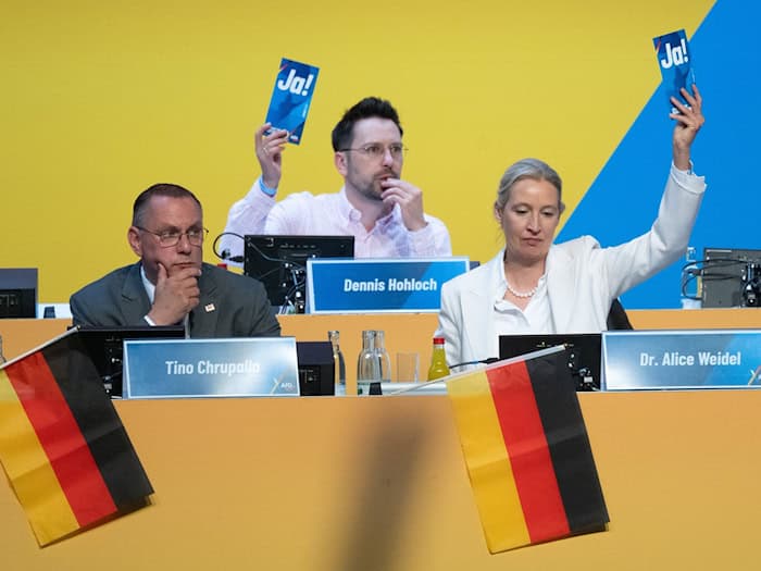 AfD beendet Parteitag und blickt nun auf drei Landtagswahlen.  / Foto: Sebastian Kahnert/dpa