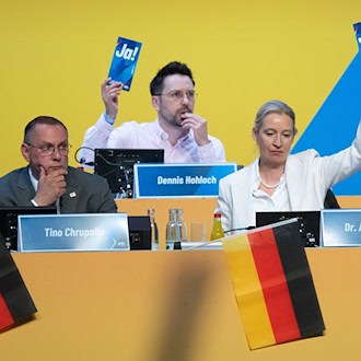 AfD beendet Parteitag und blickt nun auf drei Landtagswahlen.  / Foto: Sebastian Kahnert/dpa