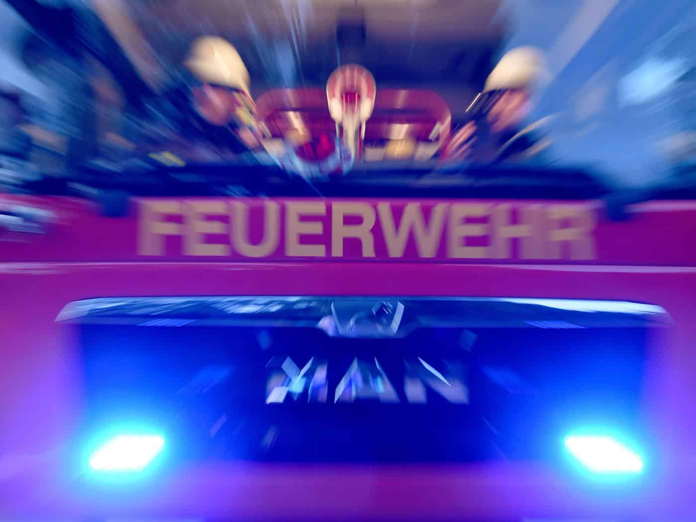 Feuerwehr birgt Pferd aus Fluss
