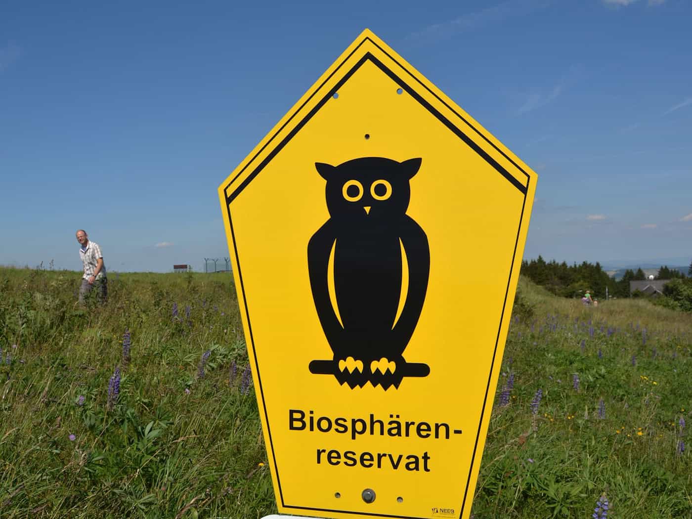 Ein großes Naturschutzprojekt in der Rhön nimmt Gestalt an. (Symbolbild) / Foto: Uwe Zucchi/dpa