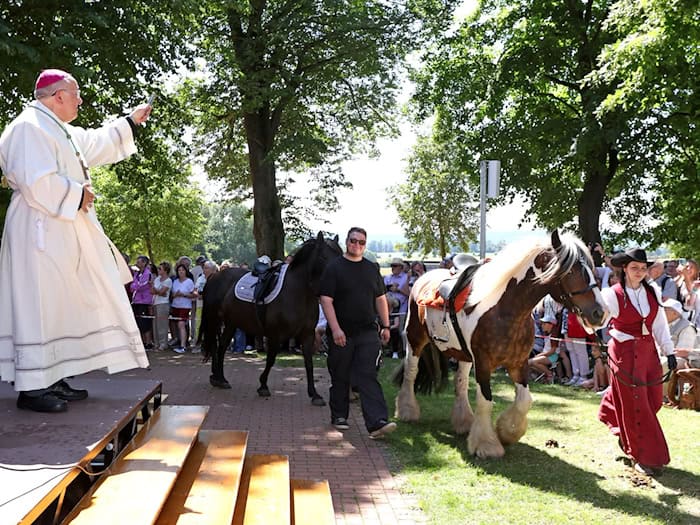 Etwa 150 Pferde wurden bei der traditionellen Pferdewallfahrt an der Kapelle Etzelsbach gesegnet. / Foto: Matthias Bein/dpa