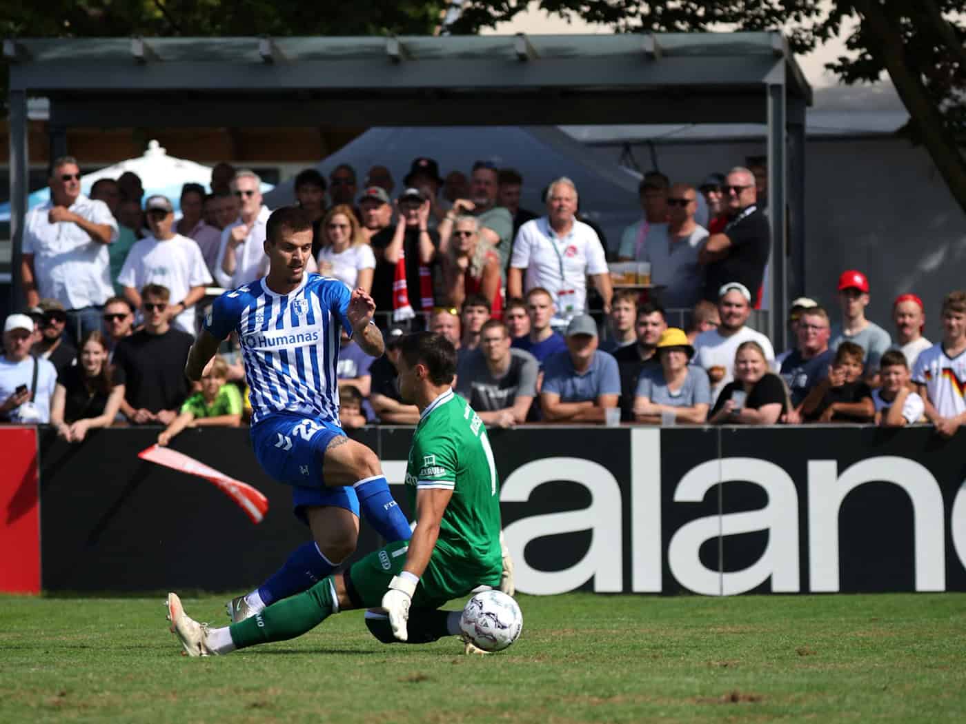 1. FC Magdeburg souverän weiter – Zukowski trifft traumhaft