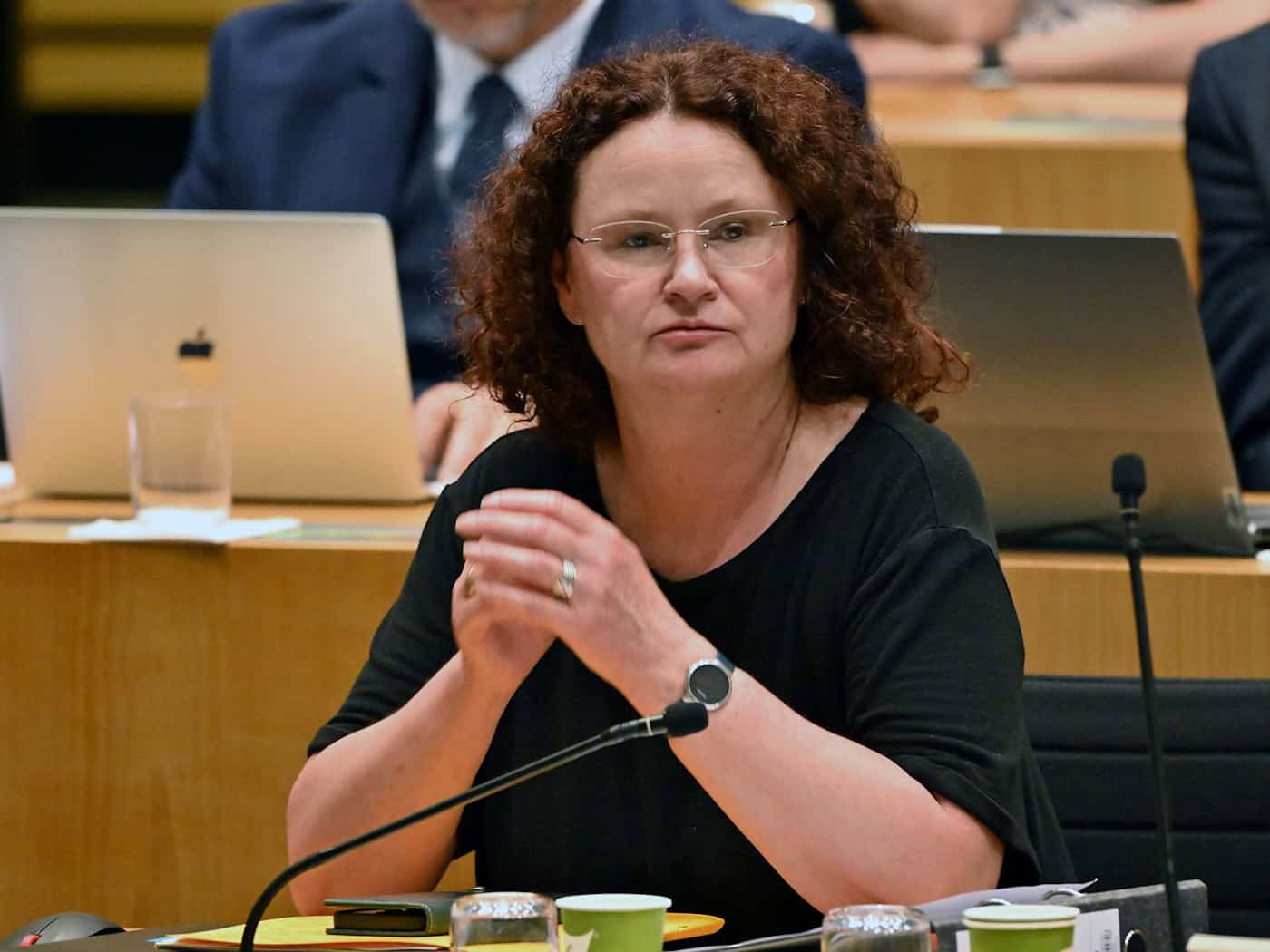BSW-Fraktionsvorsitzende schließt Wahl Höckes aus
