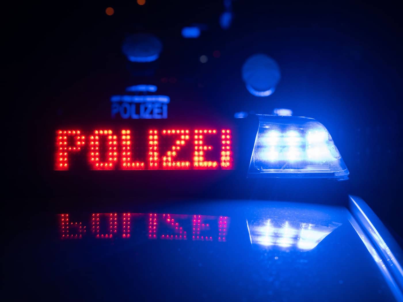 Gans hält Autofahrer in Jena auf Trab