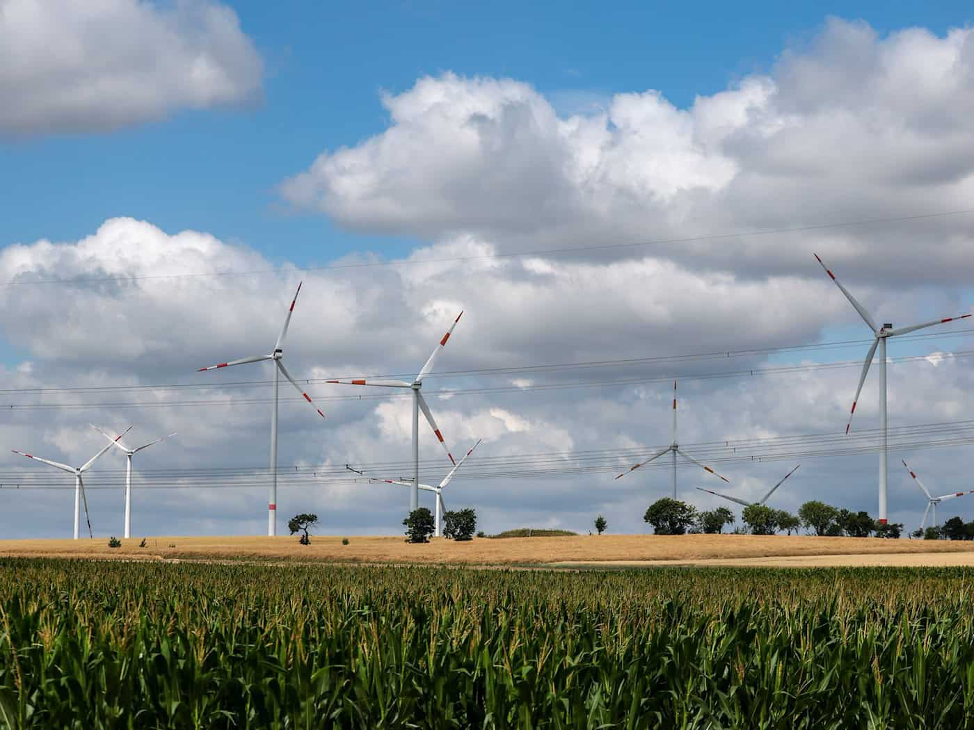 Milde Temperaturen in Ostdeutschland erwartet