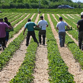 Ostdeutschland verliert ohne Zuwanderung viele Arbeitskräfte