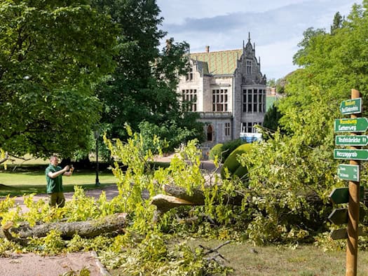 Schlosspark Altenstein bei Bad Liebenstein nach Unwetter teils gesperrt