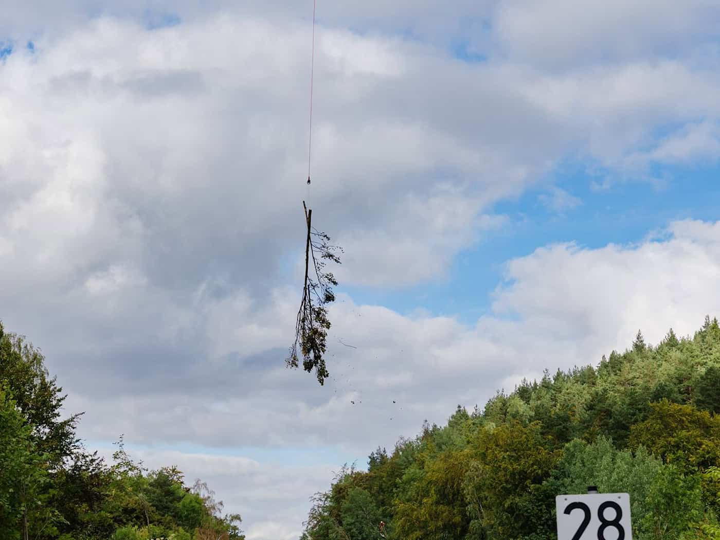 Helikopter bringt gefällte Bäume vom Brandleitetunnel weg