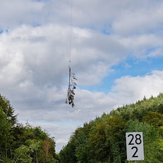 Helikopter bringt gefällte Bäume vom Brandleitetunnel weg