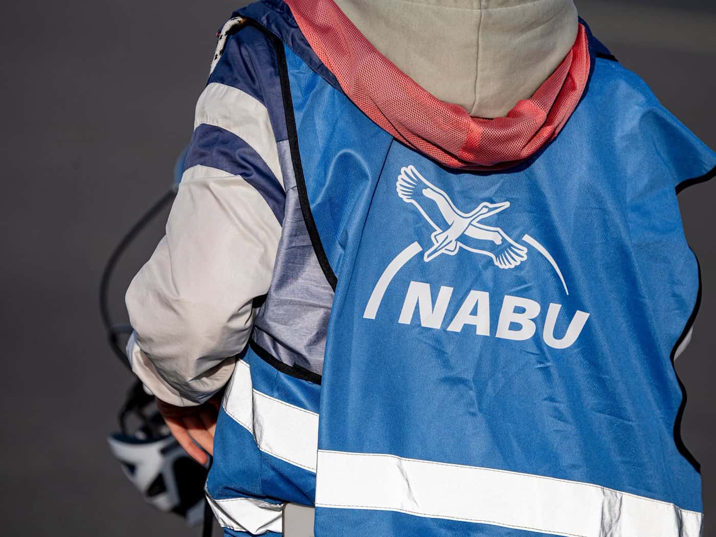 Hitze und Trockenheit - Nabu fordert Aktionsprogramm