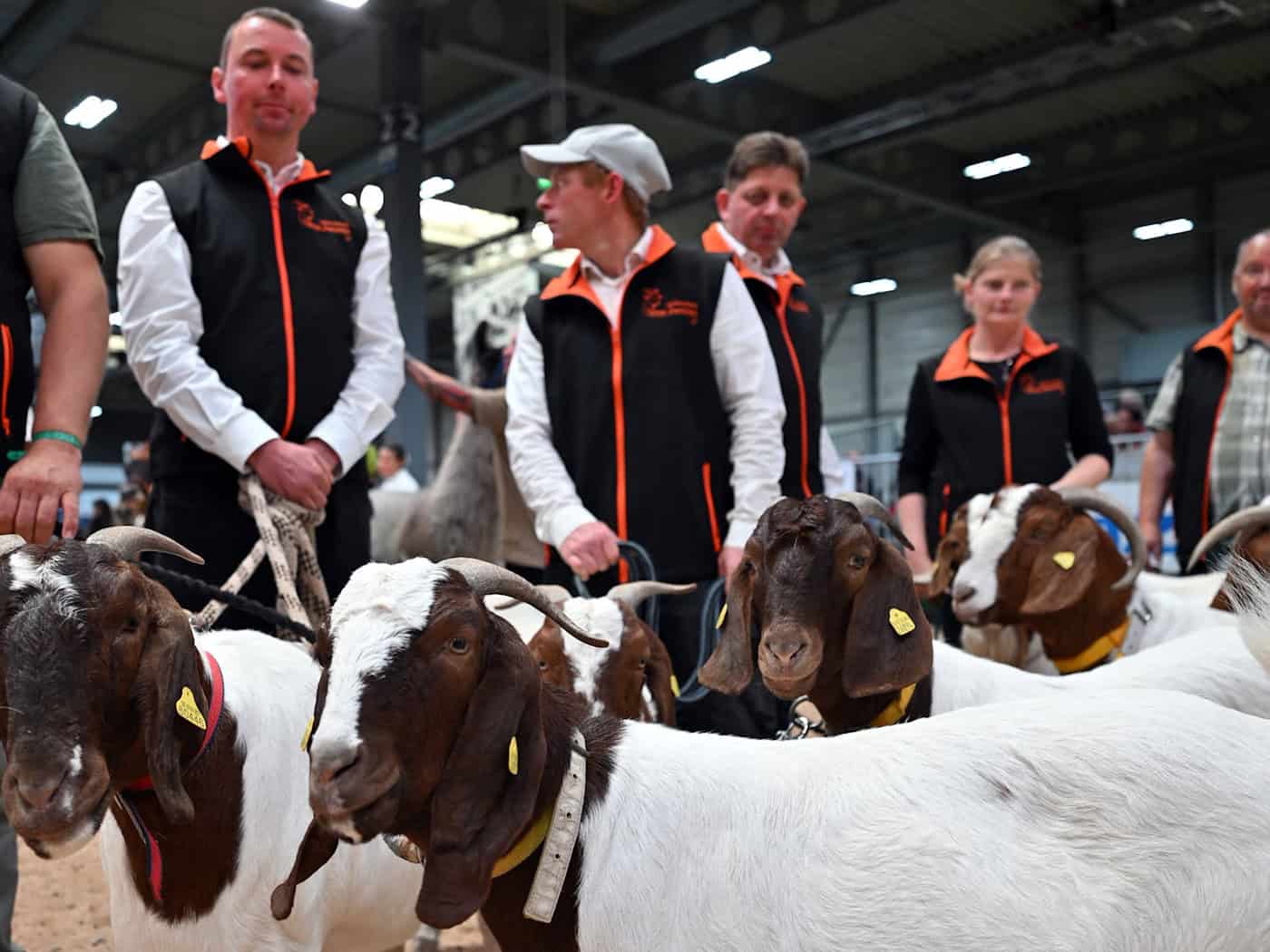Tiere, Technik und Bauernhof-Atmosphäre auf Messe Erfurt