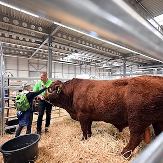 Tiere und Technik bei den Grünen Tagen Thüringen