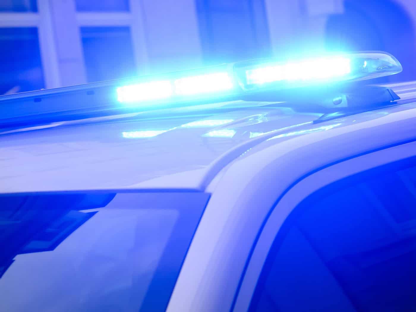 Umzugskarton mit toten Haustieren in Sachsenburg gefunden