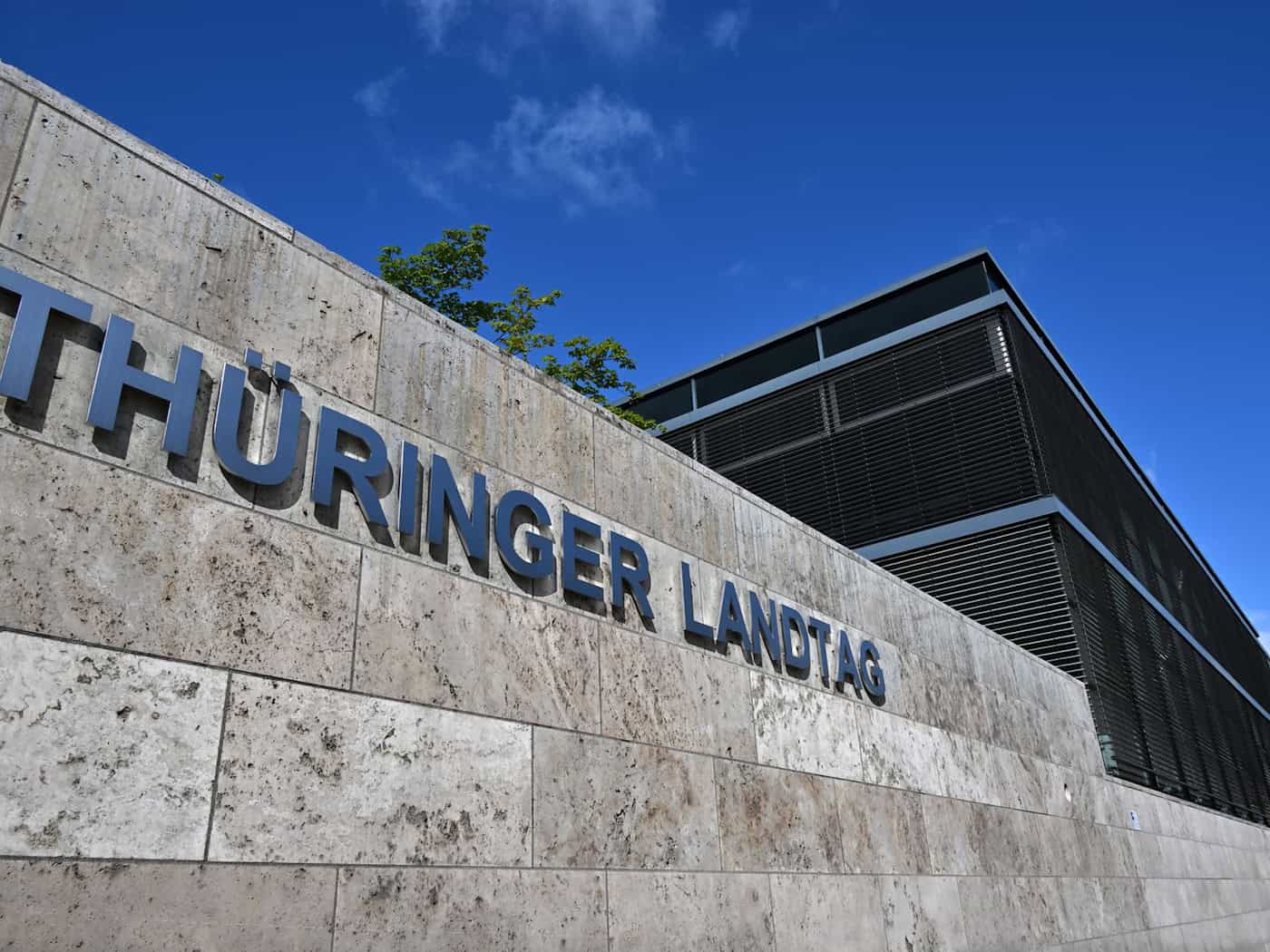 Vor Anhörung: Regierungskoalition uneins über AfD-Verbot