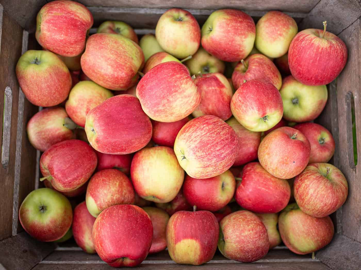 Warum sich Verbraucher auf kleinere Äpfel einstellen müssen