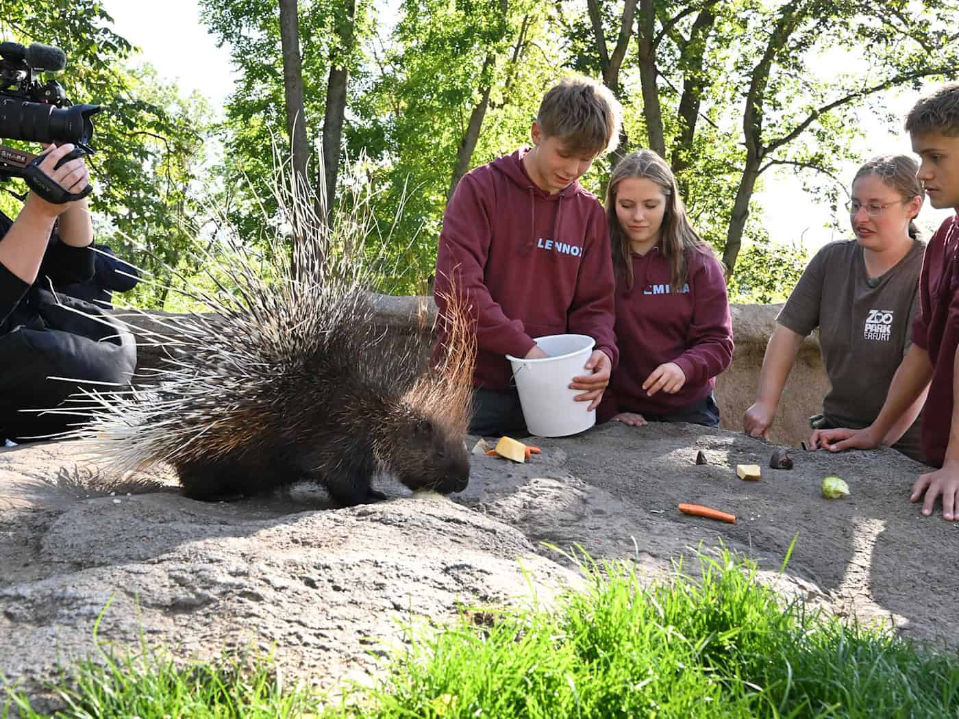 Dreharbeiten im Erfurter Zoo: Jugendliche füttern Stachelschweine für neue Staffel