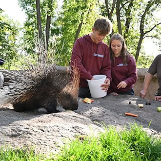 Dreharbeiten im Erfurter Zoo: Jugendliche füttern Stachelschweine für neue Staffel