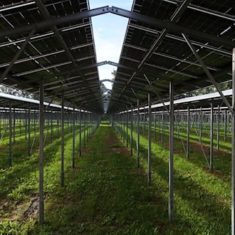 TEAG baut größte Agri-PV-Anlage Thüringens bei Bad Klosterlausnitz – Heidelbeeren unter Solarmodulen