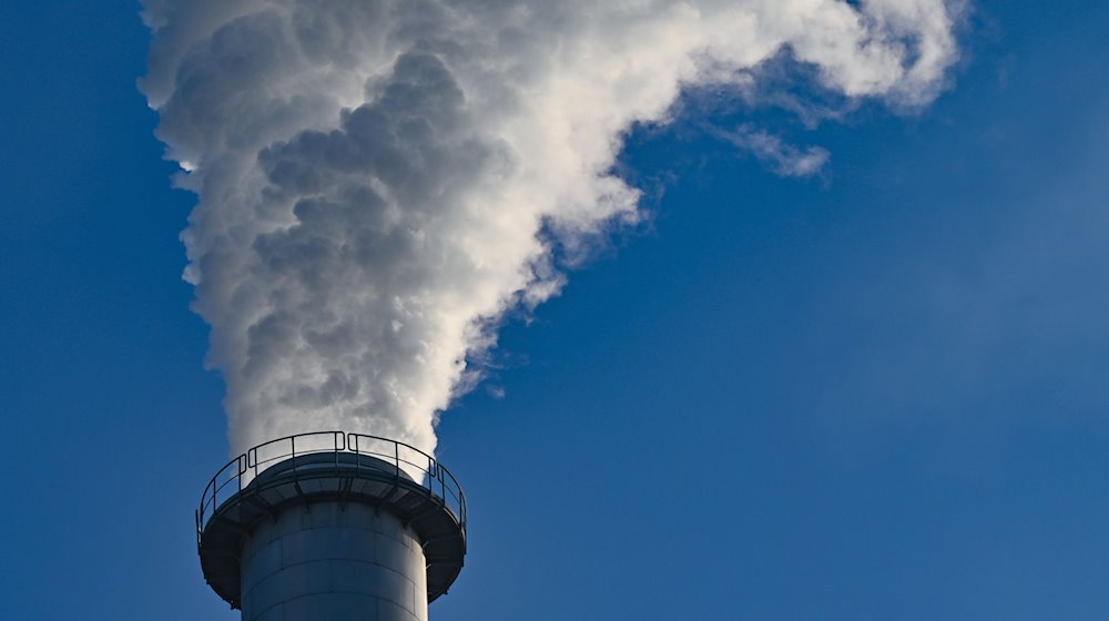 Nabu in Niedersachsen kritisiert Pläne zur CO2-Speicherung auf hoher See