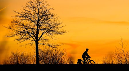 Ein Mann fährt bei Sonnenaufgang mit einem Fahrrad über einen Feldweg in der Region Hannover. / Foto: Julian Stratenschulte/dpa