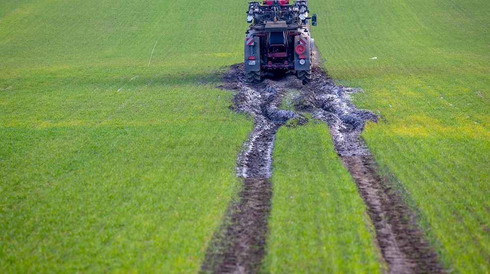 Ein Traktorgespann ist beim Ausbringen von Dünger im aufgeweichten Boden auf einem Feld steckengeblieben. / Foto: Jens Büttner/dpa