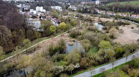 Blick auf das Gelände der Landesgartenschau Bad Gandersheim mit dem Auepark im Vordergrund und Teilen der Stadt im Hintergrund. / Foto: Swen Pförtner/dpa
