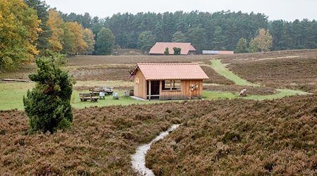 Blick auf eine Schutzhütte in in Kronsbergheide in der Lüneburger Heide. / Foto: Georg Wendt/dpa