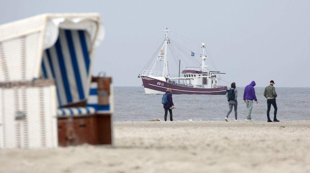 Ein Krabbenkutter fährt auf der Nordsee am Strand von St. Peter-Ording entlang. / Foto: Bodo Marks/Bodo Marks/dpa/Symbolbild