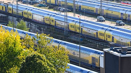 Regionalzüge des Anbieters Metronom stehen auf einer Abstellanlage. / Foto: Jonas Walzberg/Deutsche Presse-Agentur GmbH/dpa/Symbolbild