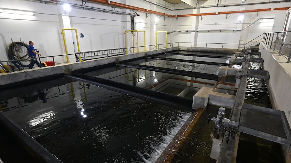 Ein Mitarbeiter geht im Wasserwerk an den Becken der Wasseraufbereitungsanlage vorbei. / Foto: Arne Dedert/dpa