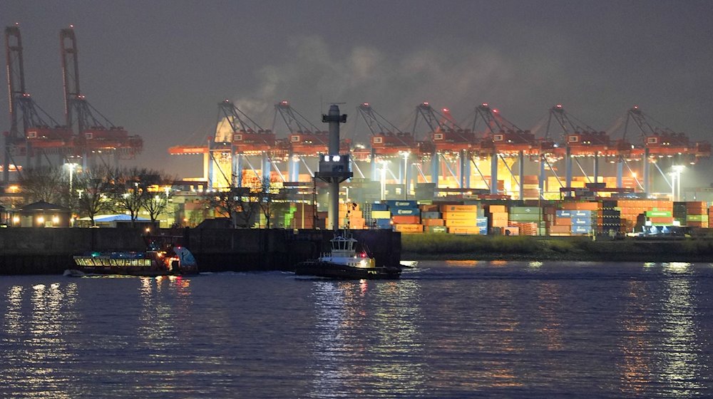 Containerbrücken und Container sind auf einem Container Terminal im Hamburger Hafen zu sehen. Das Bundeskabinett will an diesem Mittwoch eine Nationale Hafenstrategie beschließen. / Foto: Marcus Brandt/dpa