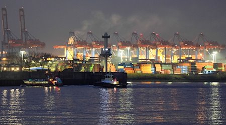 Containerbrücken und Container sind auf einem Container Terminal im Hamburger Hafen zu sehen. Das Bundeskabinett will an diesem Mittwoch eine Nationale Hafenstrategie beschließen. / Foto: Marcus Brandt/dpa