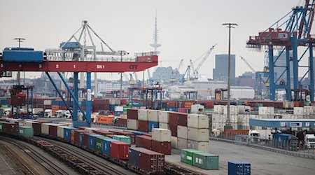 Container werden auf dem Terminal Tollerort der Hamburger Hafen und Logistik AG (HHLA) umgeschlagen. / Foto: Christian Charisius/dpa
